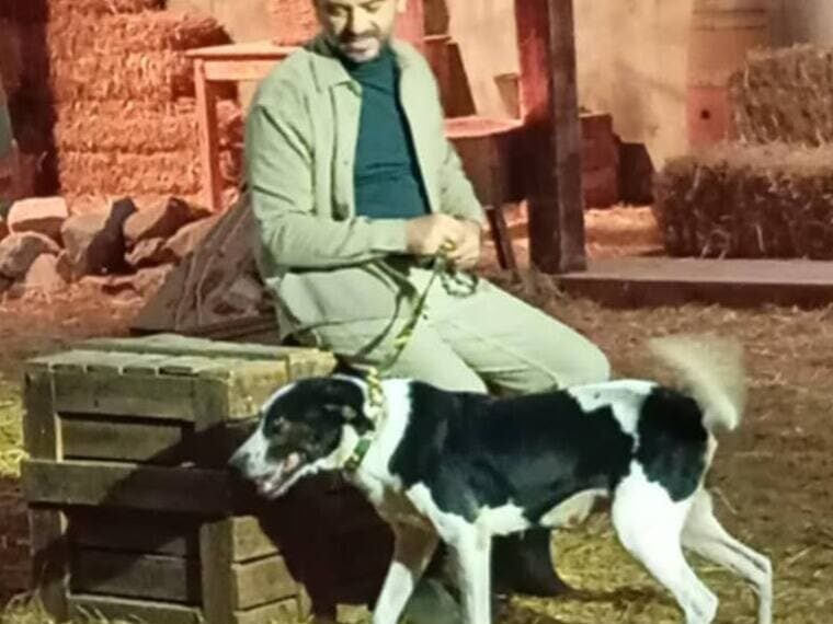 Ρεξ – Από την εγκατάλειψη στη φροντίδα και την ελπίδα για μια νέα ζωή